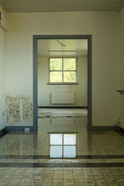 A person examining a damp, stained section of an interior wall next to a window with condensation.