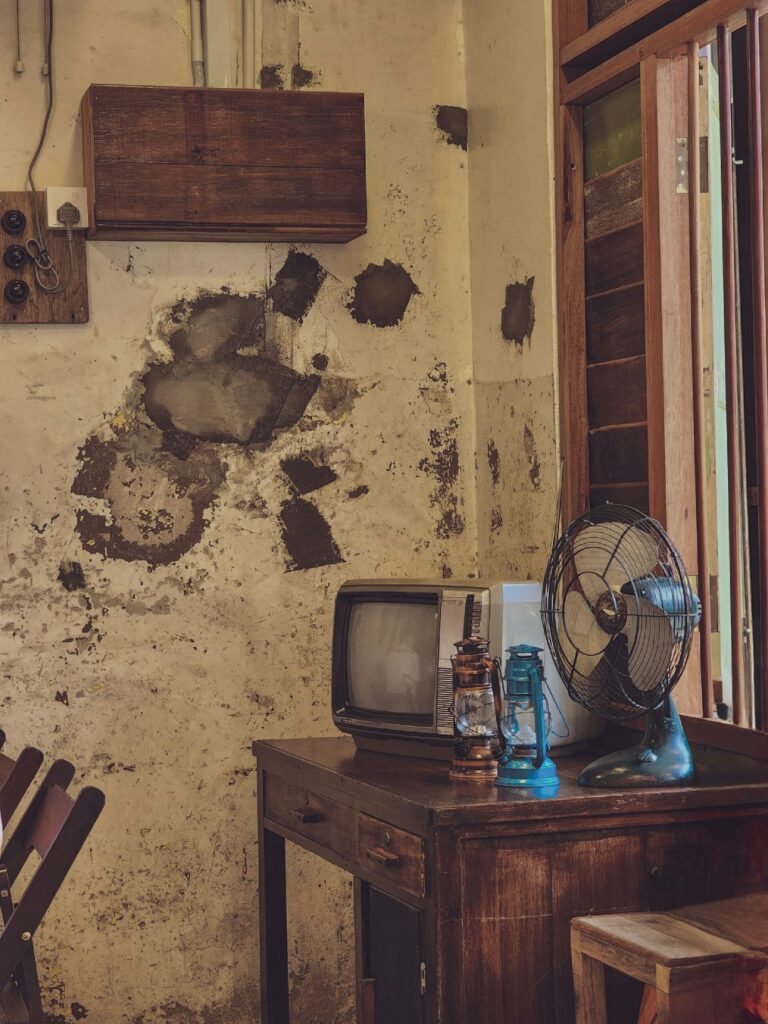 A homeowner examines a damp basement wall with visible water stains and slight discoloration.