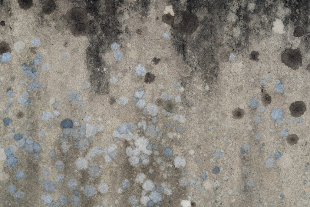 Close-up of a hand inspecting discolored spots on a bathroom wall near a damp window.