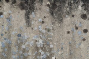 Close-up of a hand inspecting discolored spots on a bathroom wall near a damp window.