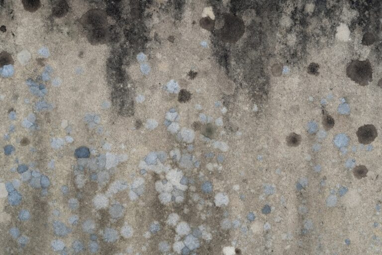 Close-up of a hand inspecting discolored spots on a bathroom wall near a damp window.