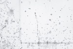 A family examining a damp patch and visible mold on a wall inside their home.