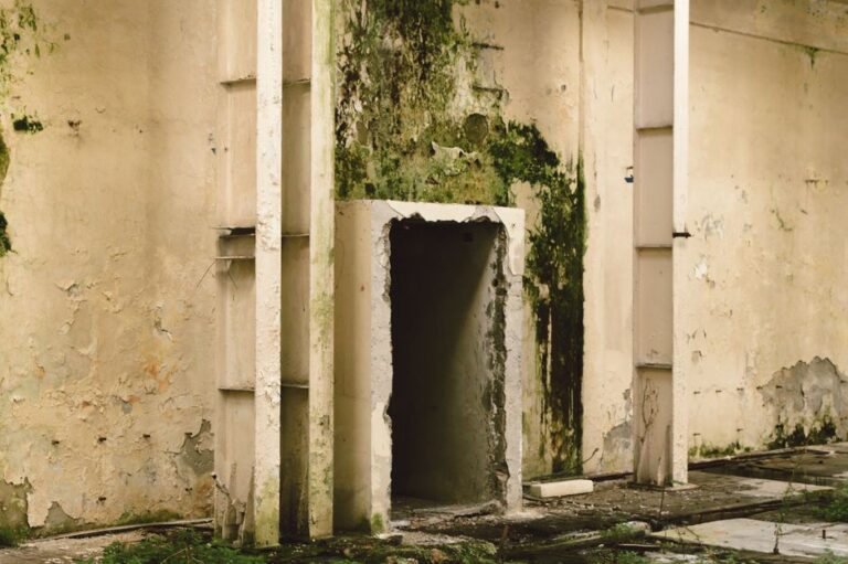 A person inspecting mold growth on the bathroom wall near a tiled shower.