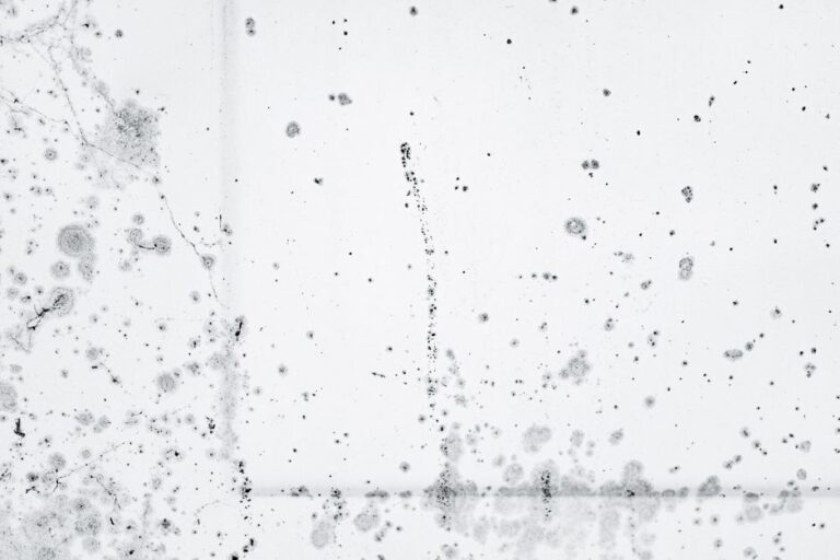 A person inspecting a window frame for signs of mold growth in a bright, lived-in home.