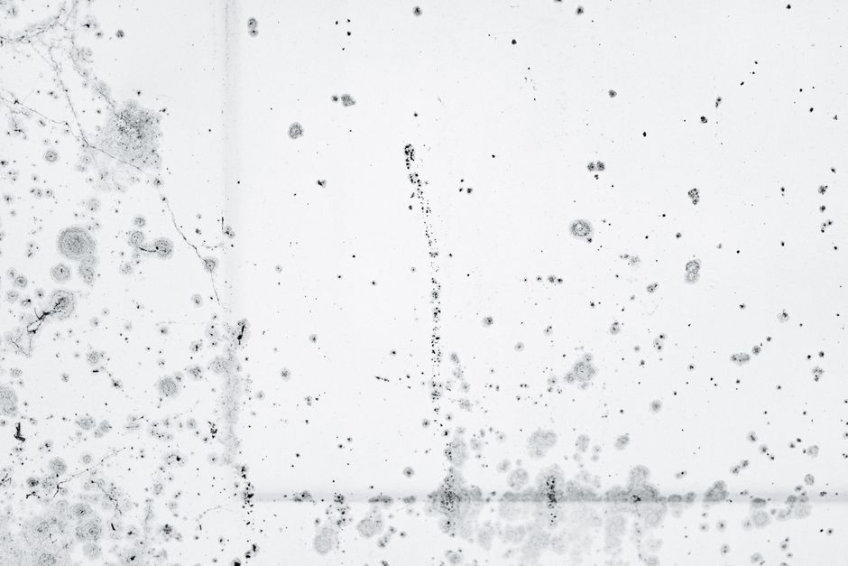 A person inspecting a window frame for signs of mold growth in a bright, lived-in home.