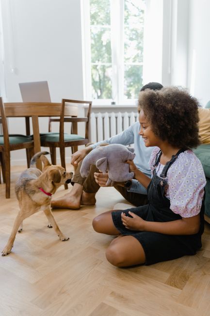 Child and dog standing away from a damp wall while an adult examines visible mold damage.